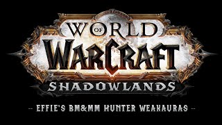 Effies BMampMM Hunter Weakauras for WoW Shadowlands patch 91 [upl. by Wong]