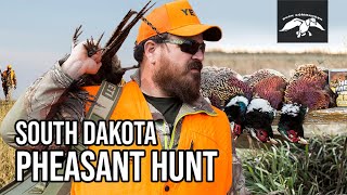 Justin Martin Pheasant Hunting in South Dakota [upl. by Acisset552]