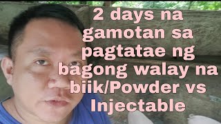 Gamotan sa Pagtatae ng bagong walay na biikPowder vs Injectable saan ang mabisa [upl. by Oilerua363]