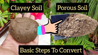 Best Potting Soil For Garden Plant Changing clayey soil in to porous soil shampys garden [upl. by Htesil75]