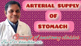 ARTERIAL SUPPLY OF STOMACHBLOOD SUPPLY OF STOMACH  ANATOMY LECTURE OF STOMACH [upl. by Elbas450]