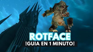 WOW WOTLK ICC  ROTFACE 10  25 NORMAL Y HEROIC CLASSIC LICH KING [upl. by Ragg415]