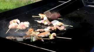 How to cook hibachi Chicken Yakitori on a Blackstone griddle [upl. by Macfadyn545]