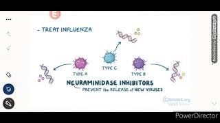 NEURAMINIDASE INHIBITORS [upl. by Klemens]