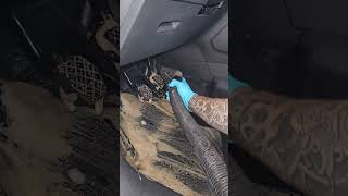 asmr automobile details carwash cleaning detailes cardetailling detaillife [upl. by Joice]