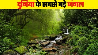 ये हैं दुनिया के 10 सबसे बड़े जंगल  Largest Forests In The World [upl. by Ahsilyt]