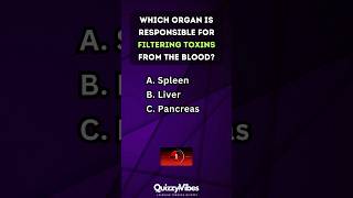 🧠 Quickfire Body Quiz How Well Do You Know Your Organs humanbody anatomy quiztime [upl. by Adlee]