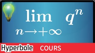 limite de suite géométrique  comprendre le cours et exemple  terminale S Maths [upl. by Viole146]