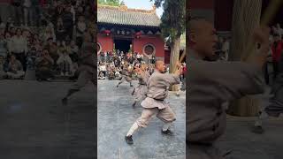 Amazing Shaolin cudgel skills [upl. by Nosoj]