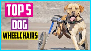 ✅ Top 5 Best Dog Wheelchairs In 2024 [upl. by Aizan]