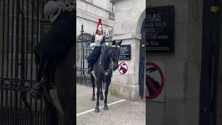 the guard horse goes crazy the guard cant stop it shorts foryou buckinghampalace tourist india [upl. by Dona172]