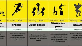 The Ultimate Vertical Jump Exercise Guide [upl. by Eelyak]