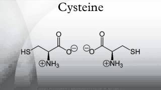 Cysteine [upl. by Anaihr]