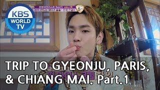 A trip alone to Gyeongju Chiang Mai amp Paris Part1Battle Trip20190303 [upl. by Lyell]