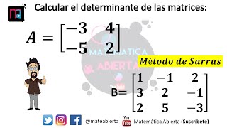 DETERMINANTE de una matriz de 2x2 y 3x3  Regla de Sarrus  Nivel Inicial [upl. by Roze]