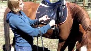 How to run up your stirrups [upl. by Stieglitz]