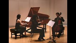 Haydn Gypsy Trio Hob XV25 [upl. by Hennahane38]