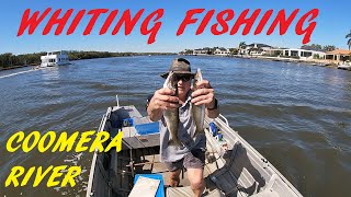 WHITING FISHING COOMERA RIVER 17TH AUG 2024 [upl. by Hedges225]