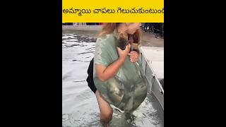 Ammai cheypalu gwyluchukuntundhi facts amazingfacts telugu [upl. by Yetty]