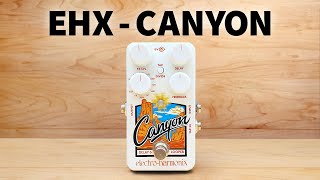 ElectroHarmonix  Canyon Delay amp Looper [upl. by Stauffer]