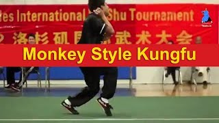 Monkey Style Kungfu Wushu [upl. by Daugherty288]