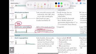 Ventricular septal defect murmur cardiology 38  First Aid USMLE Step 1 in UrduHindi [upl. by Irrej]