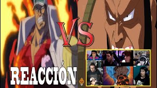 Almirante Akainu vs Jozu Reacción  One Piece Episodio 463 Reaction Mashup [upl. by Einegue]