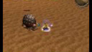 Metin2 PL  FuBu Vs Giant Desert Tortoise [upl. by Morocco483]