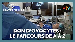 Don dovocytes  le parcours de A à Z – La maison des Maternelles LMDM [upl. by Werner]