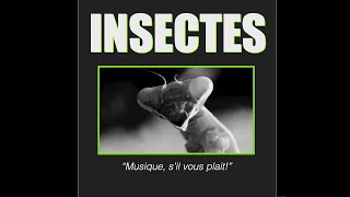 Insectes  Electronic Piece Lucien Broquet Mancera 2023 [upl. by Rochus263]