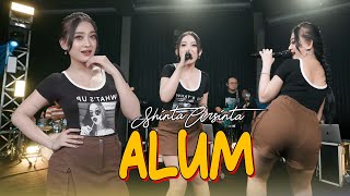 ALUM  SHINTA ARSINTA Official Music Live [upl. by Bobbette]