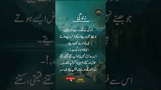 quotIsi Ka Naam Zindagi Hai  Life’s True Meaning Explainedquot  Khaani Writes  shorts [upl. by Federica]