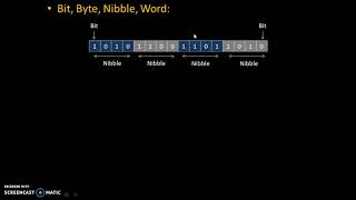 Bit Byte Word Nibble [upl. by Winwaloe]