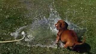 Giant AquaGlove burst and Tube of Water freezeframe [upl. by Bobbette967]