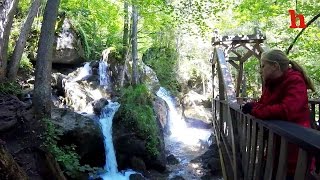 Myrafälle  schönste Wasserfälle in Niederösterreich  Austrias answer to Niagarafalls [upl. by Delanty711]