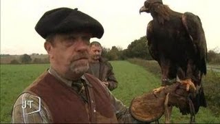 Découverte de la chasse au vol Vendée [upl. by Orazio]