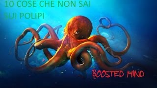 10 COSE CHE NON SAI SUI POLPI [upl. by Ahsienek]