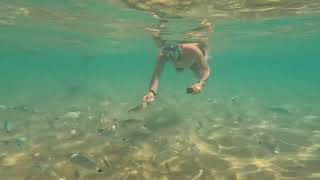 SNORKEL Dando de comer a los pececillos playa snorkel fishing [upl. by Yddub]