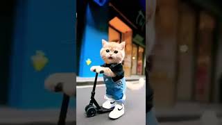 CAT dance shorts😽 kidsvideos durva catdance catlover catvideos catshort viralshort cute cat [upl. by Iuq821]