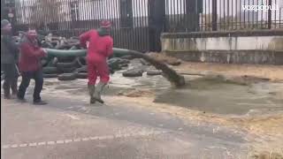 Agricultores franceses lanzan estiércol contra un edificio público en Châteauroux durante protestas [upl. by Anastatius69]