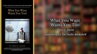 Free Audiobooks  What You Want Wants You Too  Theo E David [upl. by Cung]