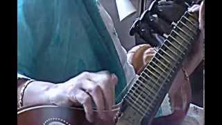 Shankar Mahadevans Breathless  played on the veena [upl. by Miles248]