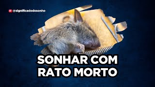 O que Significa Sonhar com um Rato Morto Descubra Aqui significadodosonho [upl. by Aymahs]