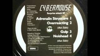 Cybermouse  Noishead  Fischkopf 001 [upl. by Rutledge]