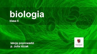 Klasa 6  Biologia   szkoła [upl. by Madonia]