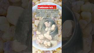 Frankincense oil has been used as perfume for over 6000 years frankincense facts factshorts [upl. by Rheinlander]