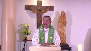 Judgemental Homily By Fr Jerry Orbos SVD  July 4 2021 14th Sunday in Ordinary Time [upl. by Ahsenyt]