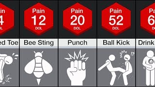 Comparison Human Pain [upl. by Siloum591]