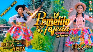 Pamelita Tejeda quotTu Encanto de Amorquot ♫ ►Mis Cuernos◄♫ Video Clip Oficial 2023 [upl. by Josias433]