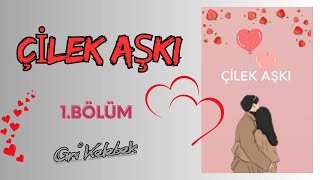 Çilek Aşkı I 1Bölüm I [upl. by Ahsinak]